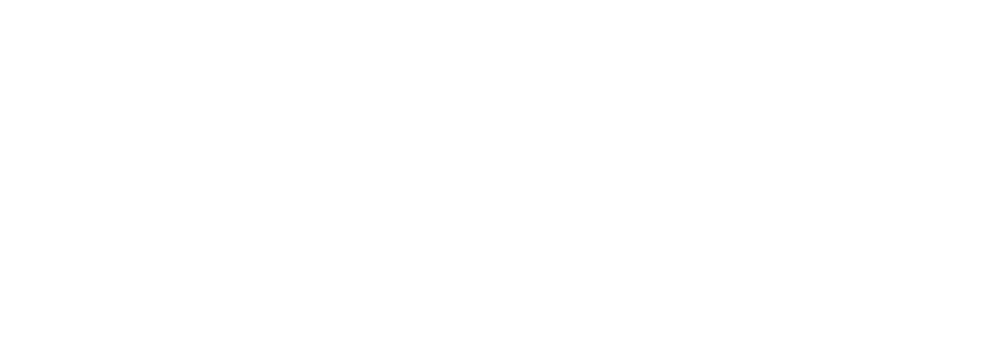 Vora logo